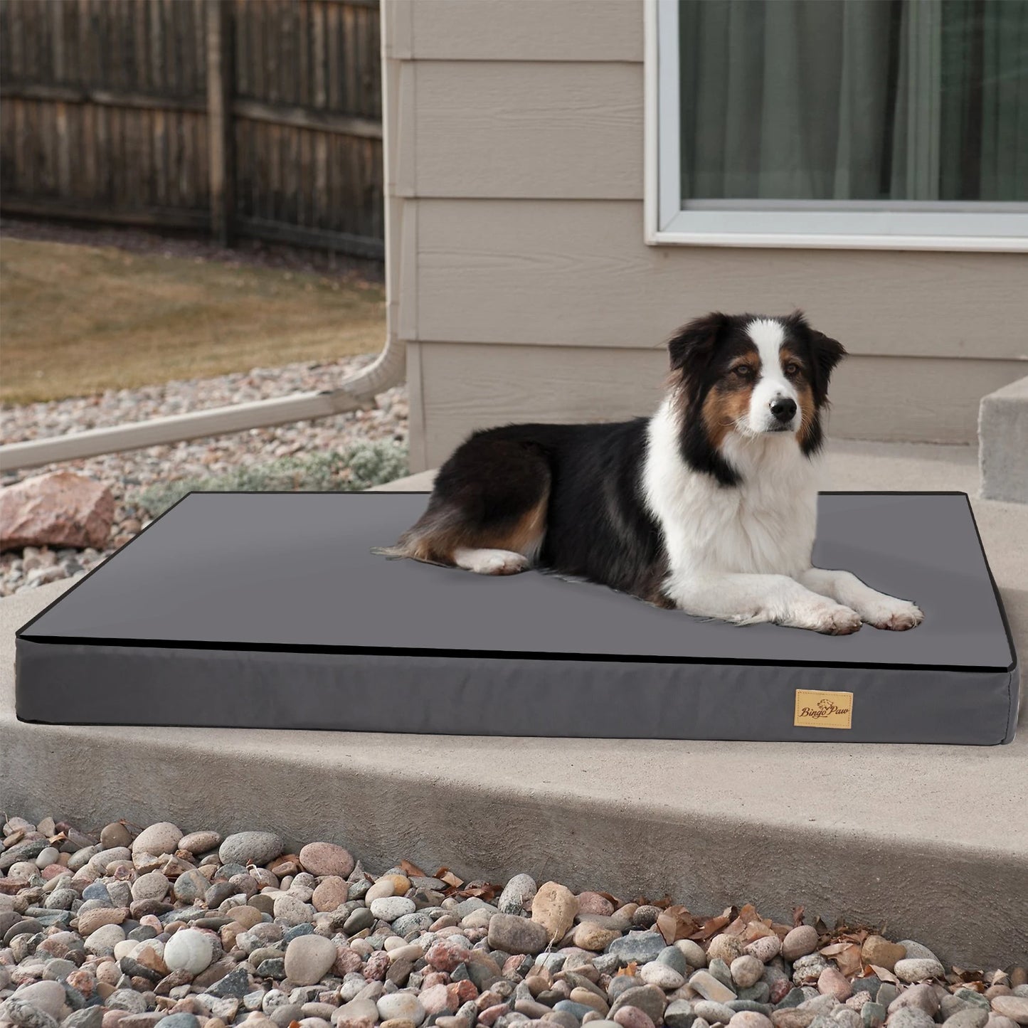 BINGOPAW Washable Orthopedic Dog Bed With Foam Padding