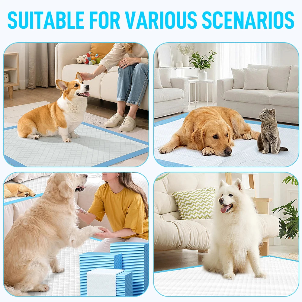 Super Absorbent Pet Training Pads for Dogs and Cats Leak Proof Quick Drying