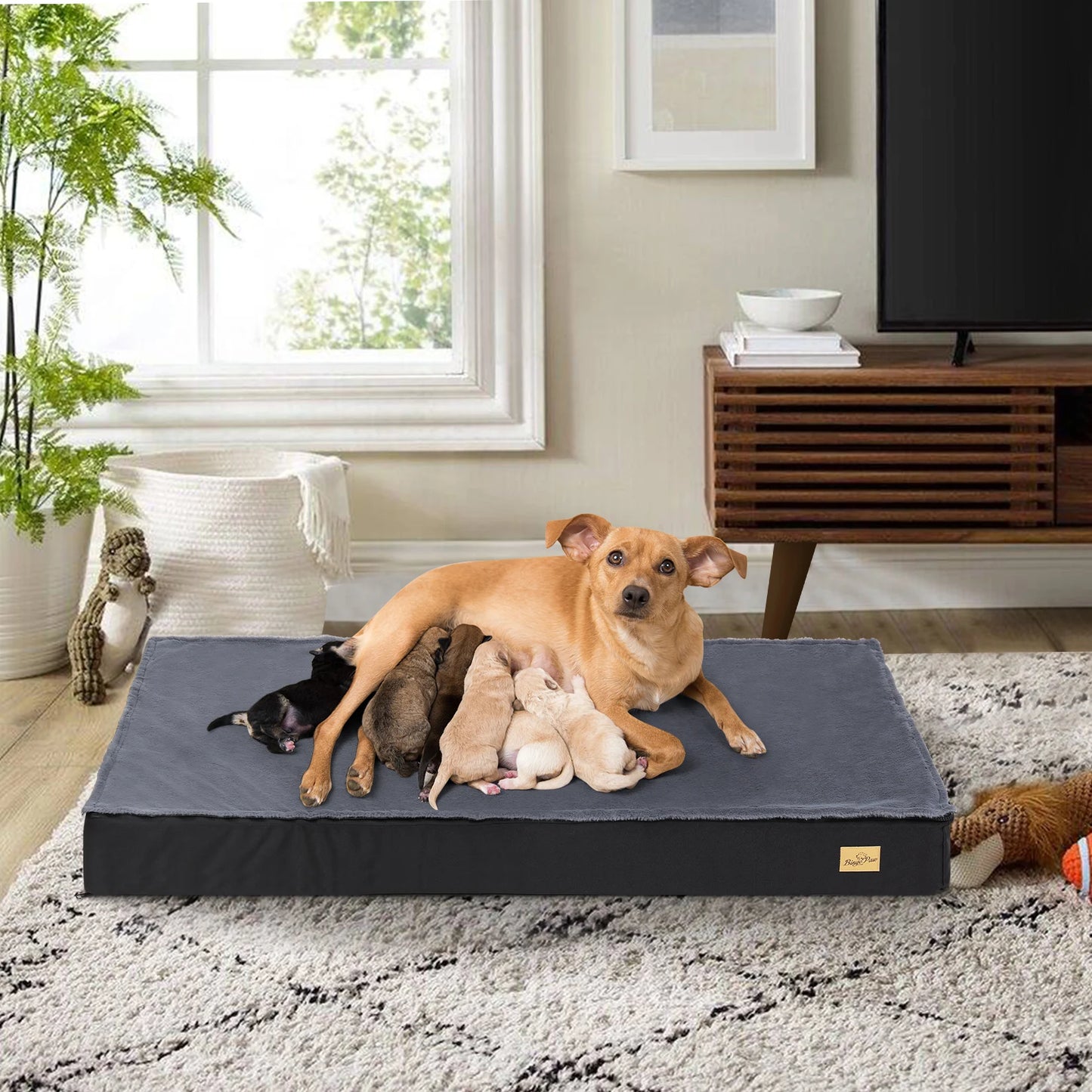 BINGOPAW Washable Orthopedic Dog Bed With Foam Padding
