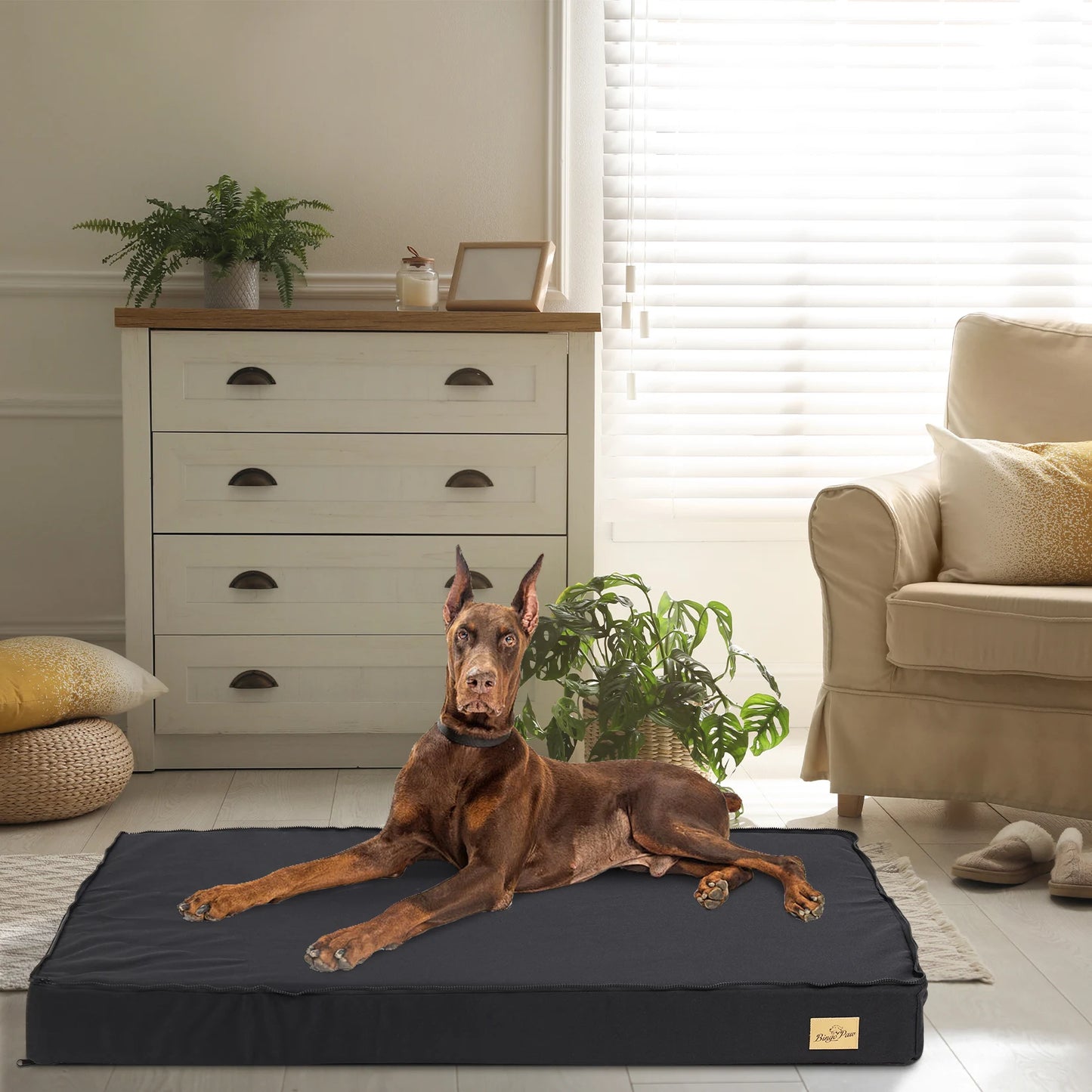 BINGOPAW Washable Orthopedic Dog Bed With Foam Padding